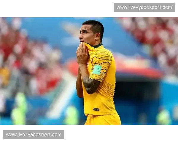 潘帕斯雄鹰的舞步与红魔的咆哮：阿根廷vs比利时的宿命之战